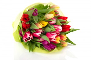 Tulips Flowers UK
