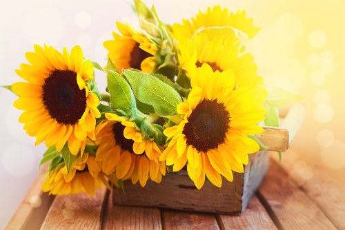 Beautiful flower arrangement ready for delivery in Chipping Sodbury