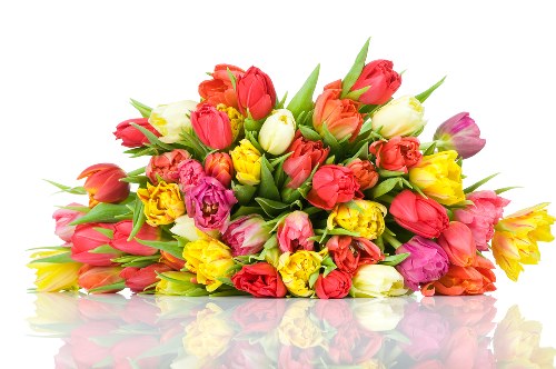 Elegant bouquet from Castle Flora