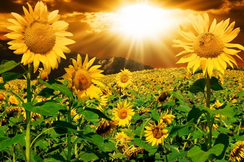 Ordering flowers online for delivery in Repton