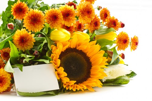 Variety of fresh flowers available for delivery in Repton