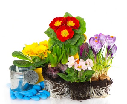 Eco-friendly flower delivery in Harold Wood